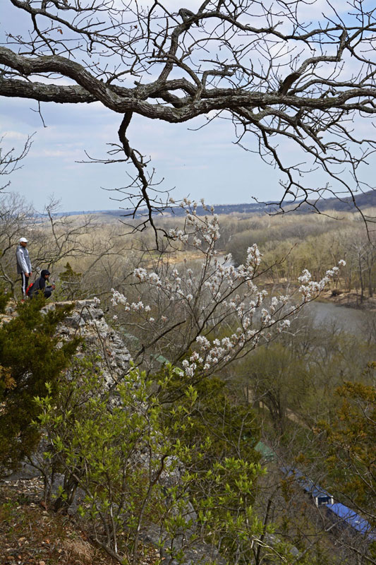 Bluffs_Spring_2110.jpg