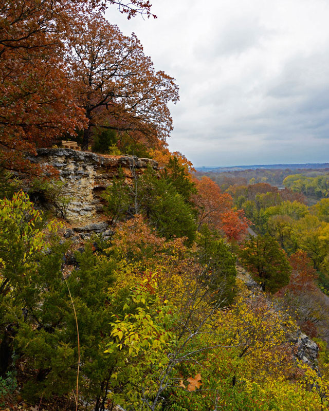 Bench_Fall_Colors_4538.jpg