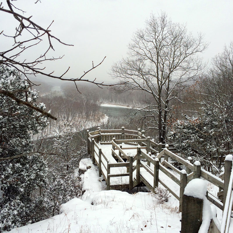 snowdeck8.jpg