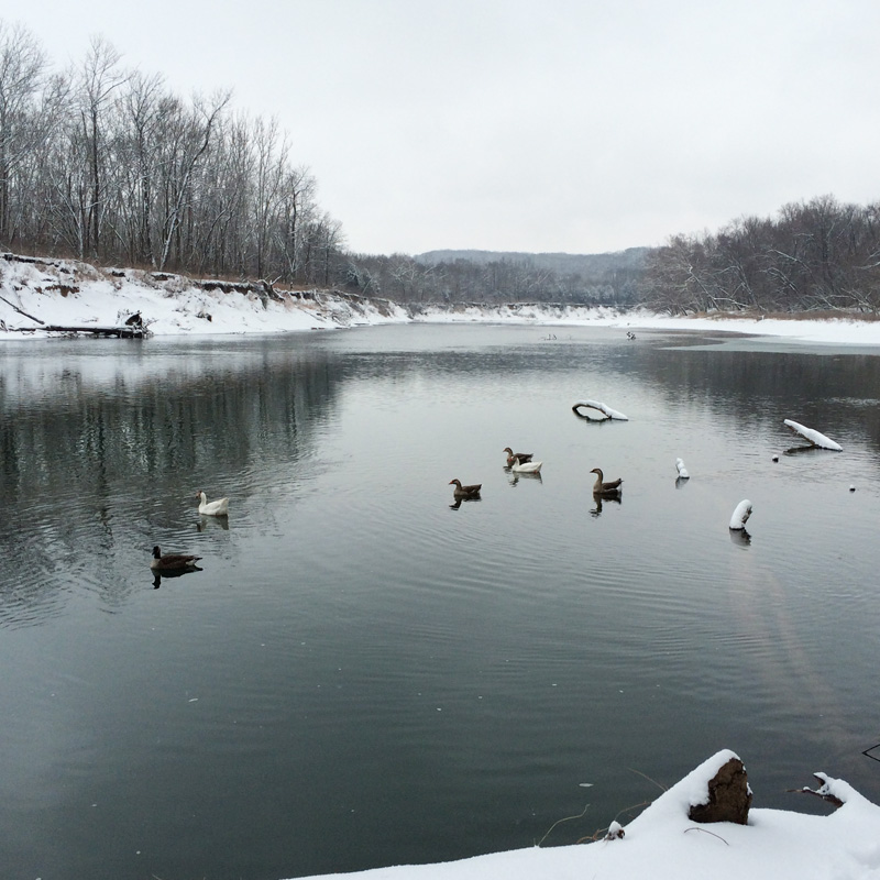 castlewood31-3.jpg