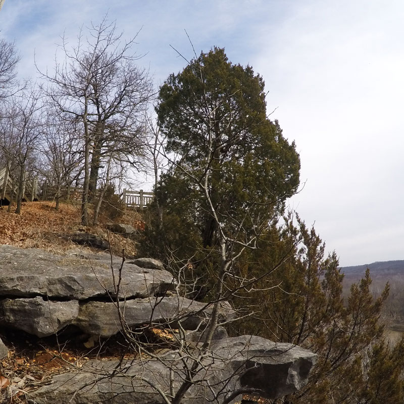 bluffs0314.jpg
