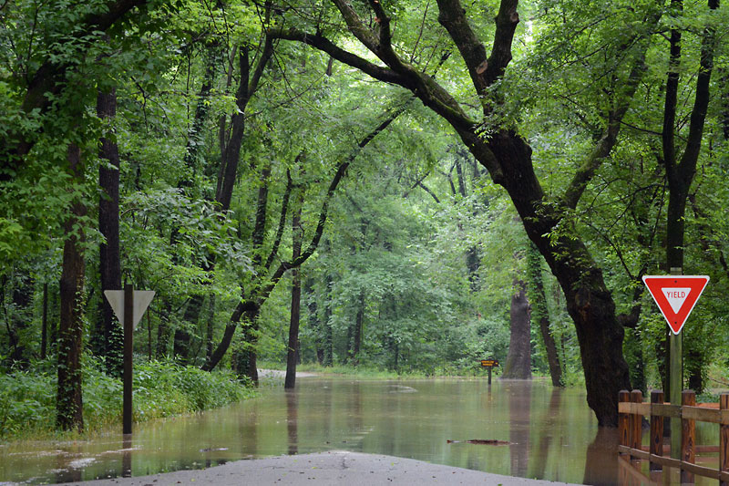 Park_Road.jpg