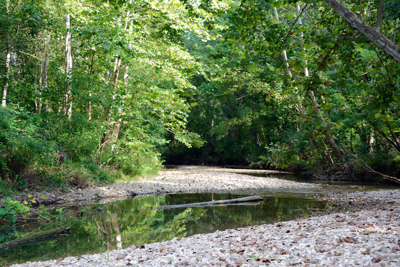 Kiefer_Creek.jpg