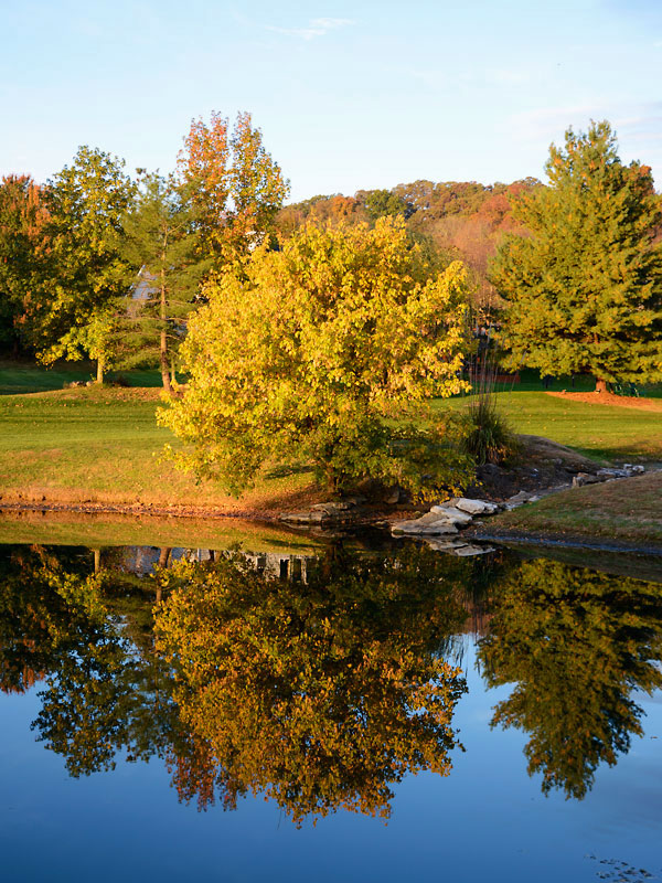 Pond_Reflection.jpg