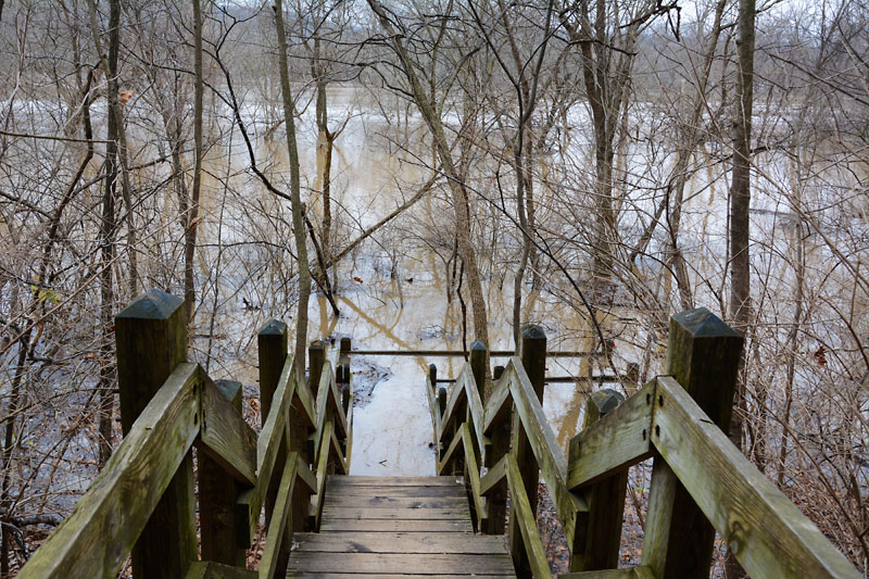 Castlewood_Staircase_527.jpg