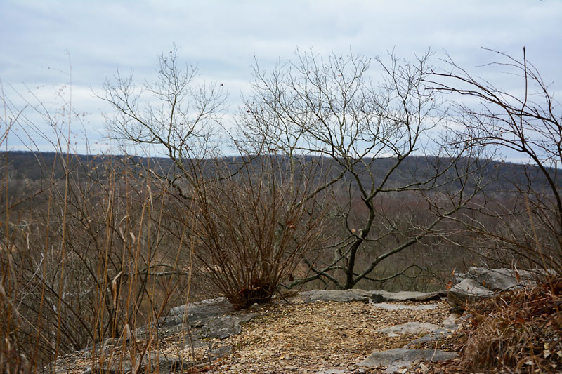 River_Scene_Trail_2630.jpg