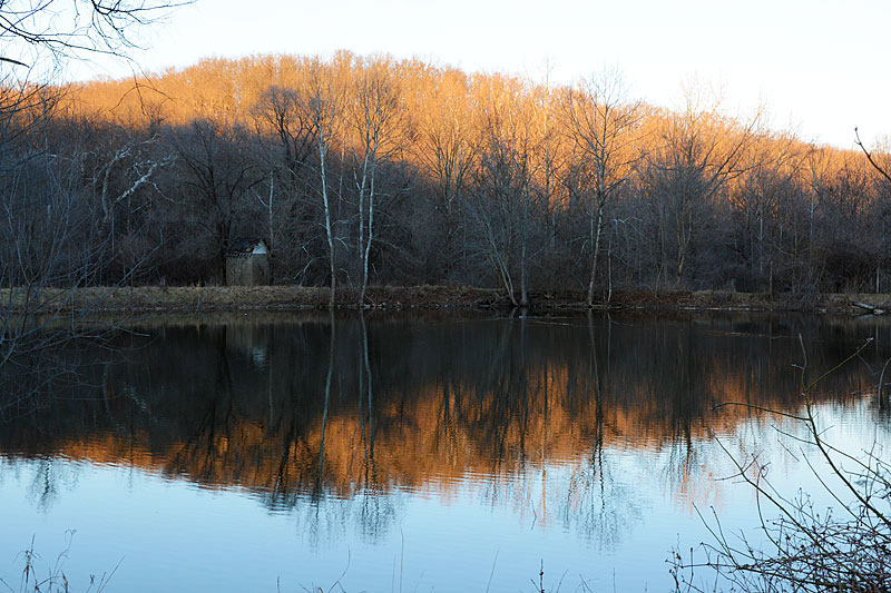 WildlifeSunset.jpg