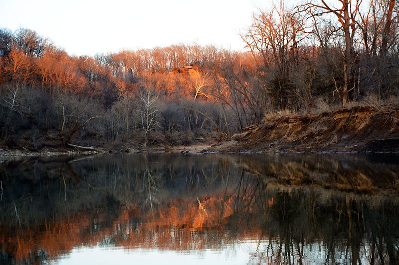 Stinging_Nettle_Sunset_2995.jpg