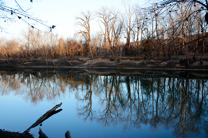 Tree_Reflection_2966.jpg