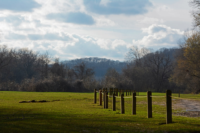 Castlewood_Overflow_Parking_4111.jpg