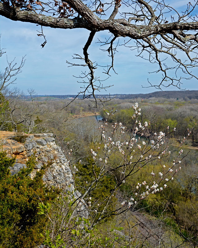 Spring_In_Castlewood5180.jpg