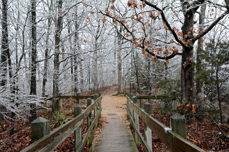 Icy_Bluffs_Trail_0931.jpg