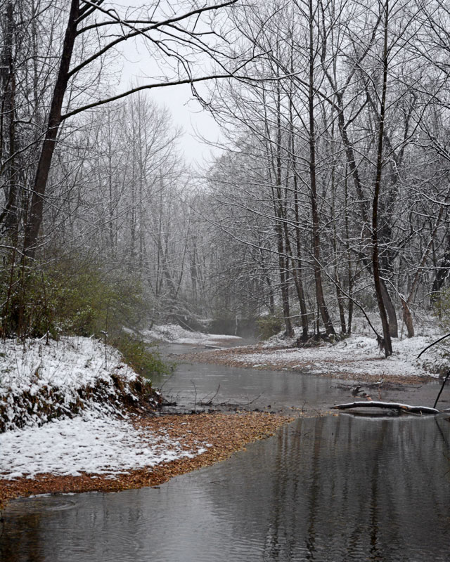 Snowy_Kiefer_Creek_2881.jpg