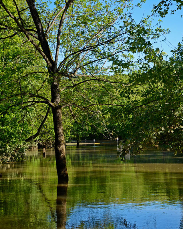 Kiefer_Creek_Bridge_4943.jpg