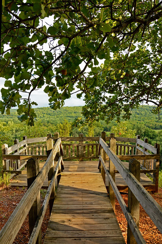 Castlewood_Bluff_Deck_6553.jpg