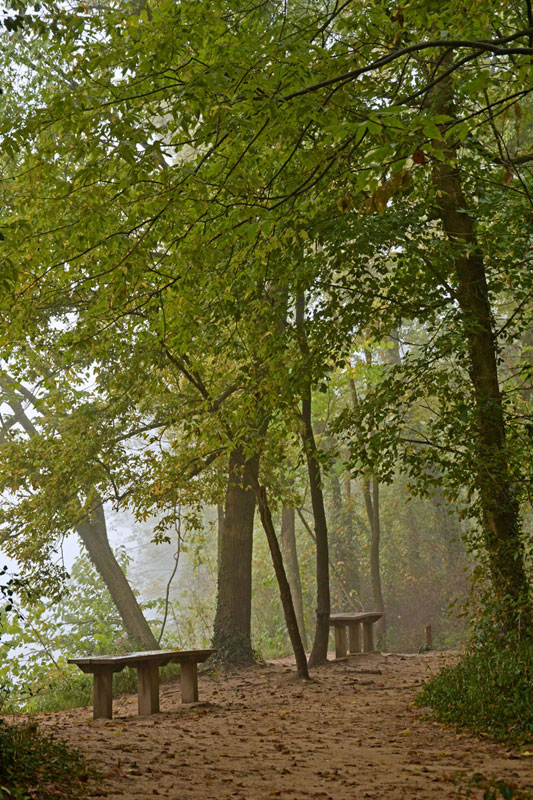 River_Scene_Trail_Benches_7989.jpg