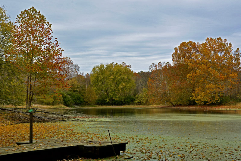 Wildlife_Rescue_Center_Pond_8619.jpg