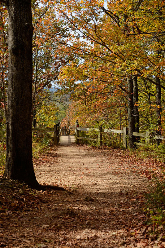 Fall_Colors_8585.jpg