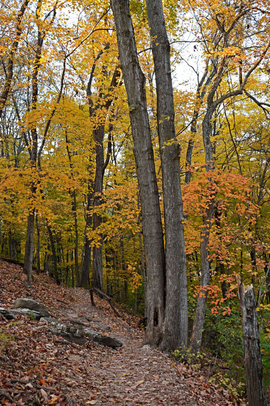 River_Scene_Trail_8834.jpg