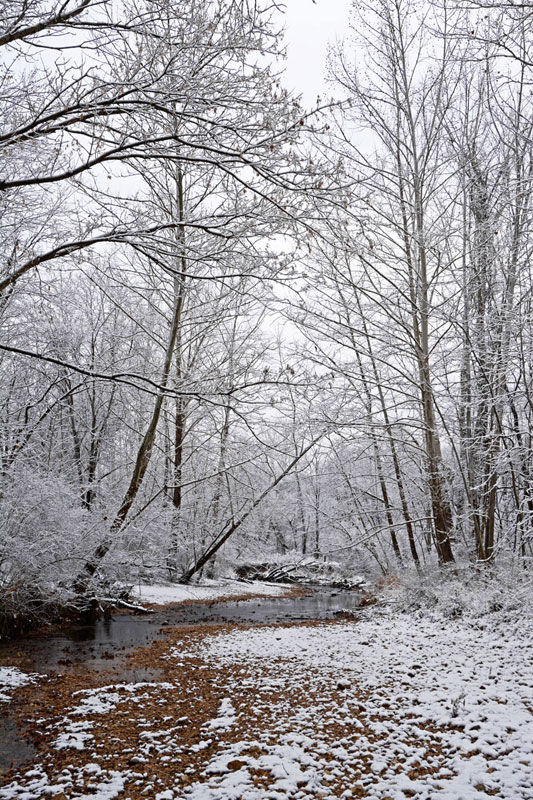 Snowy_Kiefer_Creek_0019.jpg