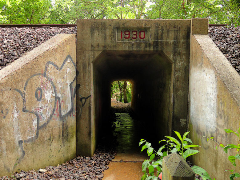 tunel782.jpg